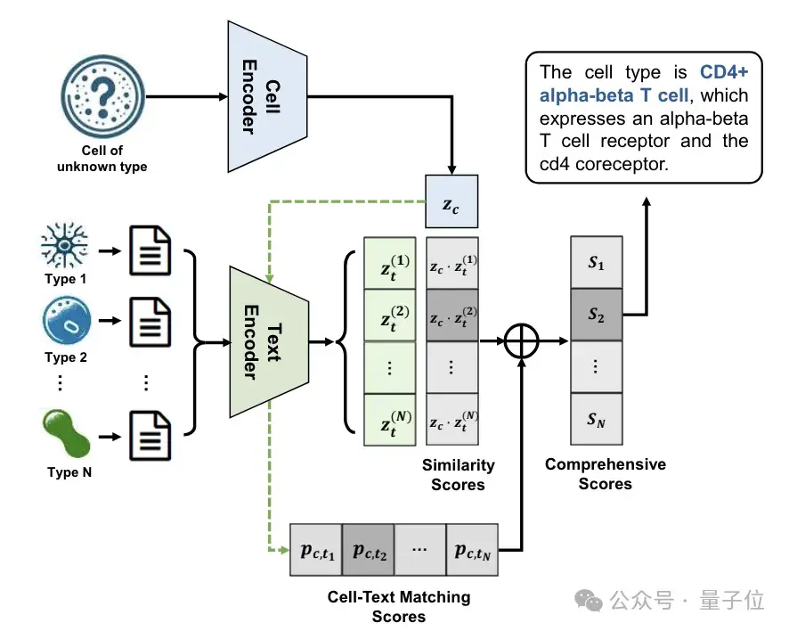 識別細胞也能用大模型了!清華系團隊出品,已入選ICML 2024 | 開源