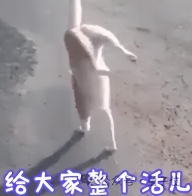 騰訊圖生視頻全面開源,更懂物理規律,一手實測來了