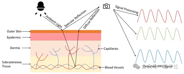 行啊AI PC！現(xiàn)在都能隔空測血壓、檢測皮膚了