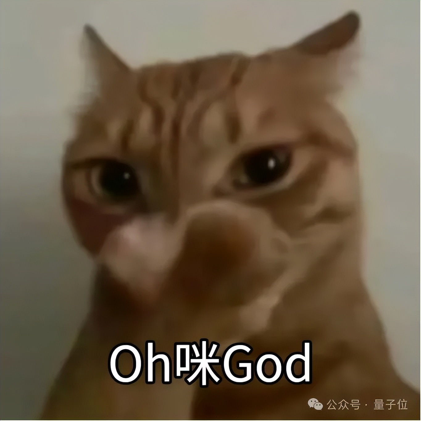 「創(chuàng)業(yè)初期全靠人工」，AI筆記獨(dú)角獸自曝了