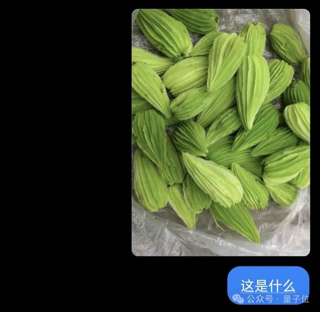 o3出圈玩法“看圖猜位置”,豆包也安排上了!還是人人免費(fèi)用那種