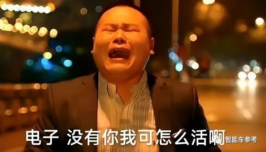 豐田在華召回全部純電轎車！隱藏式門把手有致命缺陷