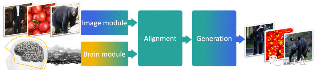 AI實時解讀大腦信號,7倍速還原圖像關(guān)鍵視覺特征,LeCun轉(zhuǎn)發(fā)