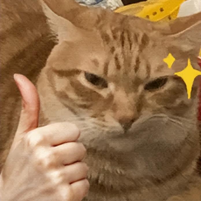 阿里通義上新PPT創(chuàng)作!PC端“效率”功能三合一,聽(tīng)讀寫(xiě)一站搞定