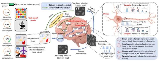 自動化所研發脈沖動態計算的毫瓦級超低功耗異步感算一體類腦芯片