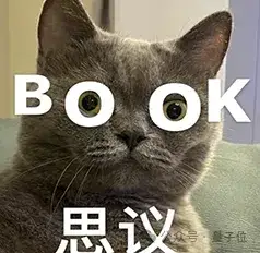 不會代碼的獨立開發者，除了學Cursor，還該會些什么？｜十問爆款「小貓補光燈」