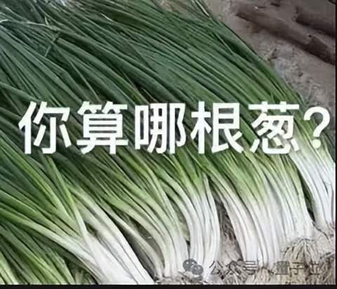 GPT5.5代號“蒜你狠”曝光！OpenAI拉響紅色警報加班趕制新模型，最快下周就發
