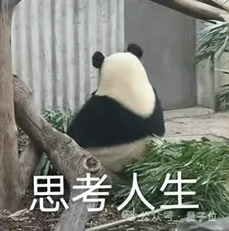 小扎自曝挖人秘訣：小團隊我親自帶，豪擲數(shù)百億建GW集群，大家不圖天價薪酬只為“造神”