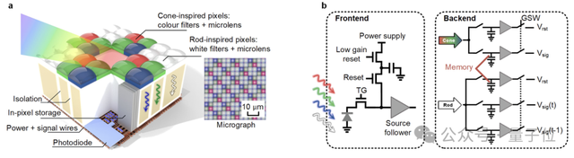 清華“天眸芯”登Nature封面!全球首款類腦互補視覺芯片,施路平團隊最新成果