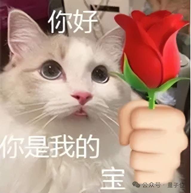 北大開源最強aiXcoder-7B代碼大模型！聚焦真實開發場景，專為企業私有部署設計