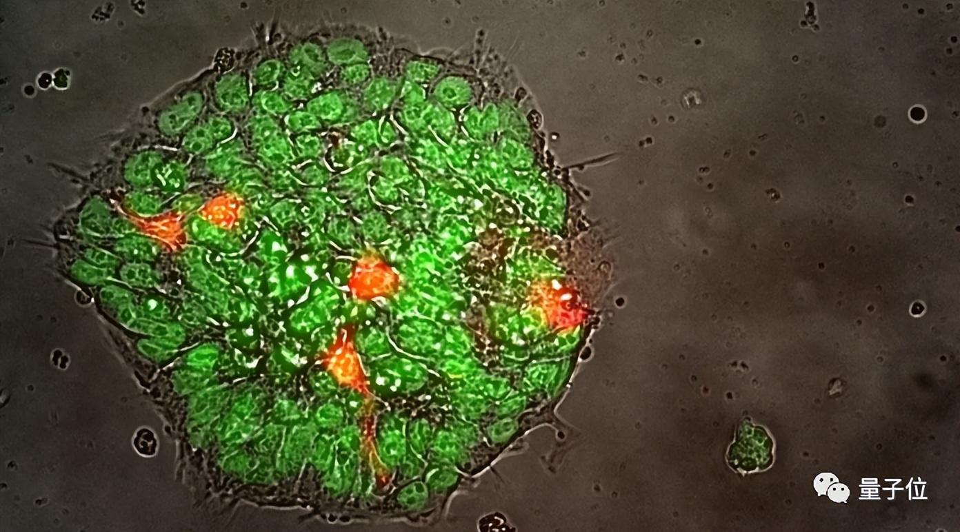 馬斯克再次送人上天!4名私人宇航員前往國際空間站,火箭也回收了