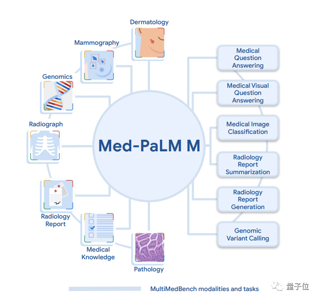 清華校友立功！谷歌發(fā)布首個全科醫(yī)療大模型，14項任務(wù)SOTA