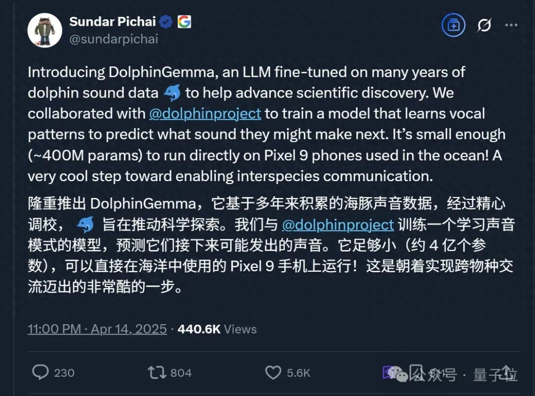 海豚語言被谷歌大模型破譯！跨物種交流大門打開，哈薩比斯：下一個是狗