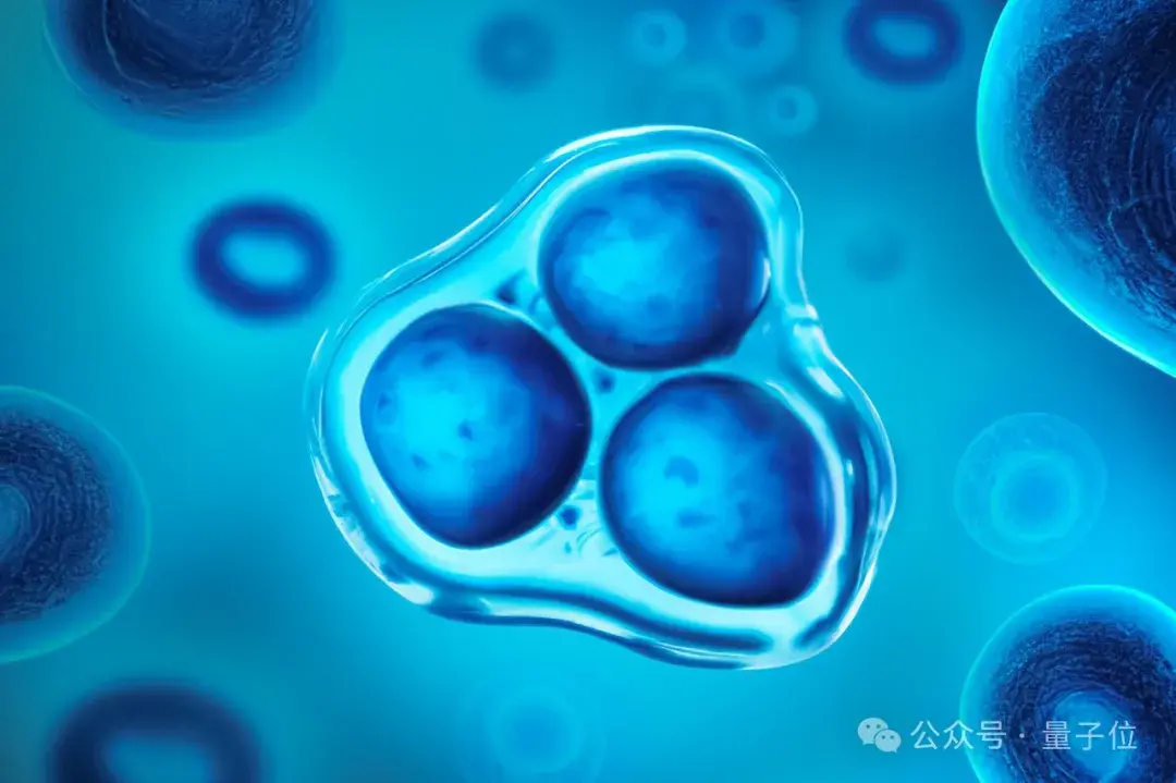 識別細胞也能用大模型了!清華系團隊出品,已入選ICML 2024 | 開源