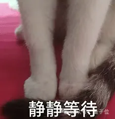 半世紀計算機理論僵局被打破！MIT科學家偶然發現：少量內存節省大量計算時間