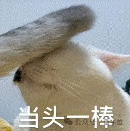 NuerIPS唯一滿分論文曝光,來自清華上交