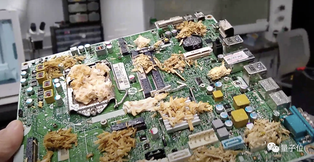 用蘑菇就能搞出計算機主板???