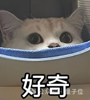 海豚語言被谷歌大模型破譯！跨物種交流大門打開，哈薩比斯：下一個是狗