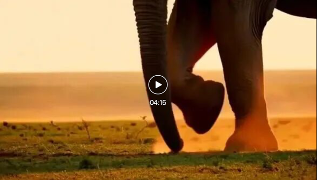 Sora2還在5秒打轉,字節AI生視頻已經4分鐘“起飛”