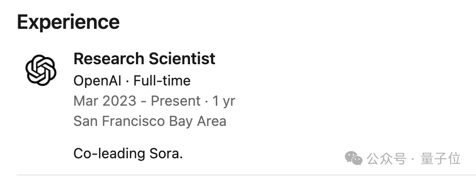 謝賽寧緊急辟謠：Sora跟我一點關系沒有，他們996搞一年了