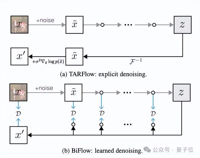 何愷明組三位本科生領銜！持續聚焦Flow模型，突破歸一化流生成效率瓶頸