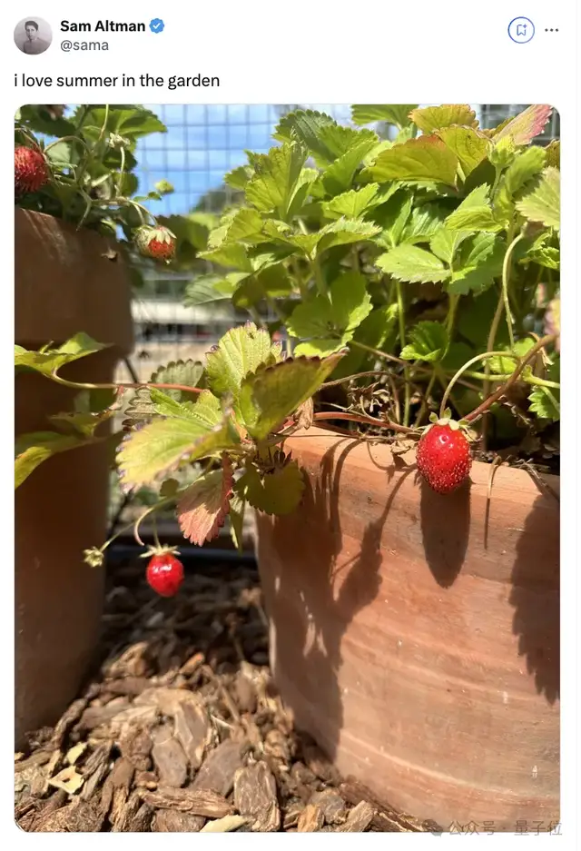 奧特曼曬“草莓”引熱議,神秘新模型現身競技場,網友第一波實測