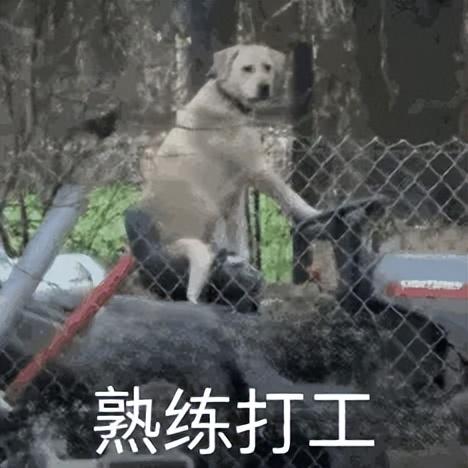 打破波士頓動力空翻專利后，國產(chǎn)人形機(jī)器人左手?jǐn)Q螺絲，右手咖啡拉花