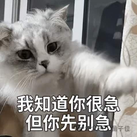 GPT5.5代號“蒜你狠”曝光！OpenAI拉響紅色警報加班趕制新模型，最快下周就發