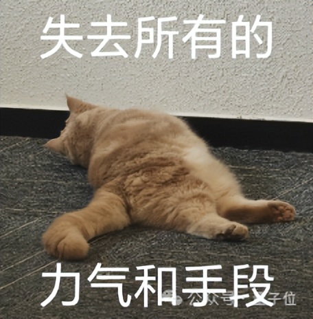 謝賽寧盛贊字節(jié)Seed新研究!單Transformer搞定任意視圖3D重建