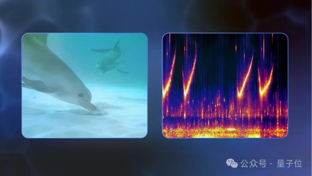 海豚語言被谷歌大模型破譯！跨物種交流大門打開，哈薩比斯：下一個是狗