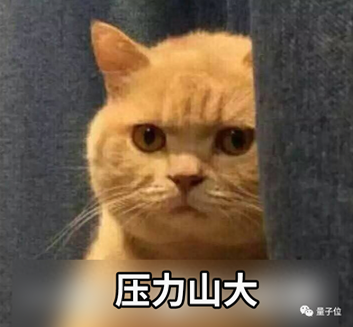 arXiv可算有錢搞服務器了：新獲1000萬美元捐款，正在線火熱招人