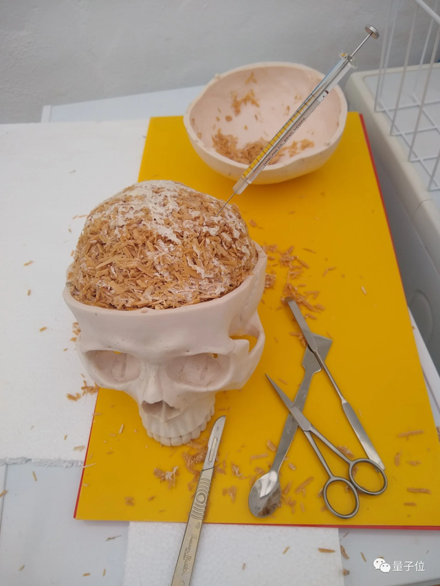 用蘑菇就能搞出計算機主板???