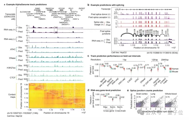 Nature報道：谷歌新模型1秒讀懂DNA變異！首次統一基因組全任務