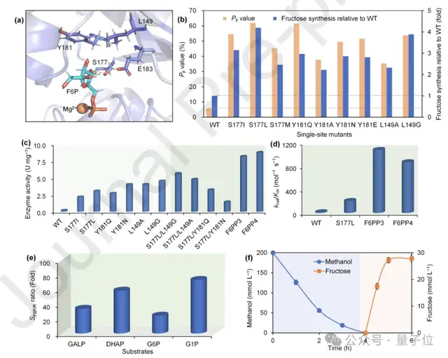 人類能從空氣里造糖了!我國科學(xué)家首次實現(xiàn)二氧化碳人工合成蔗糖
