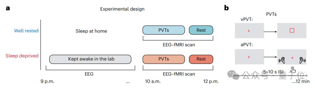 熬夜后走神不是你的錯，而是自救機制在“洗腦” | Nature