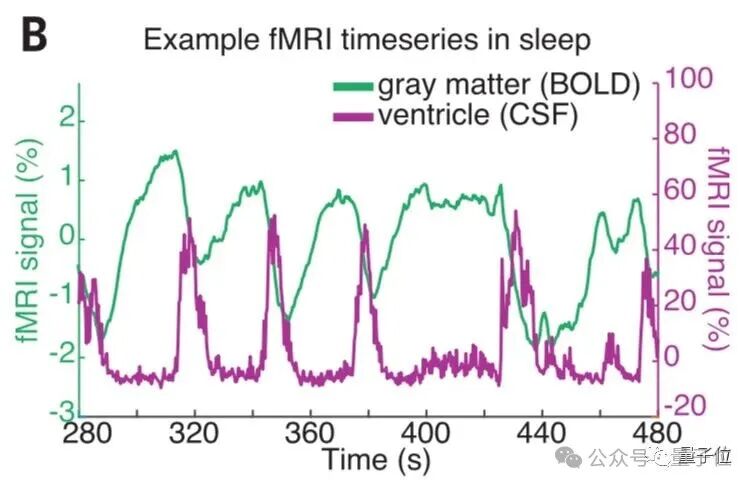 熬夜后走神不是你的錯，而是自救機制在“洗腦” | Nature