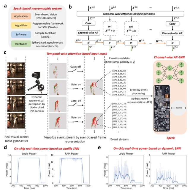 自動化所研發脈沖動態計算的毫瓦級超低功耗異步感算一體類腦芯片