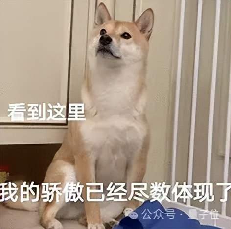 讓宇樹機器狗在北大未名湖畔撿垃圾，銀河通用干的