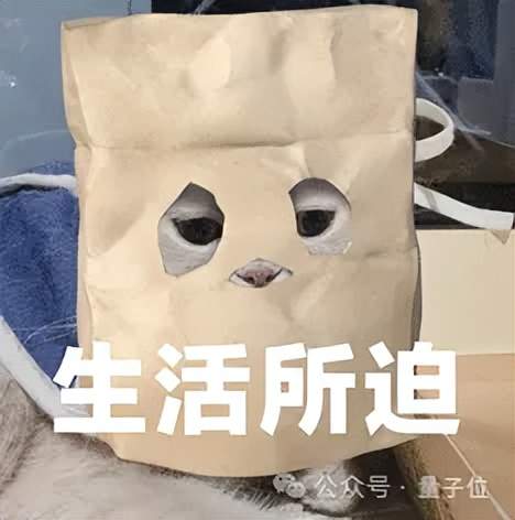 大廠程序員:AI正在將我們變成高速流水線工人,受不了了