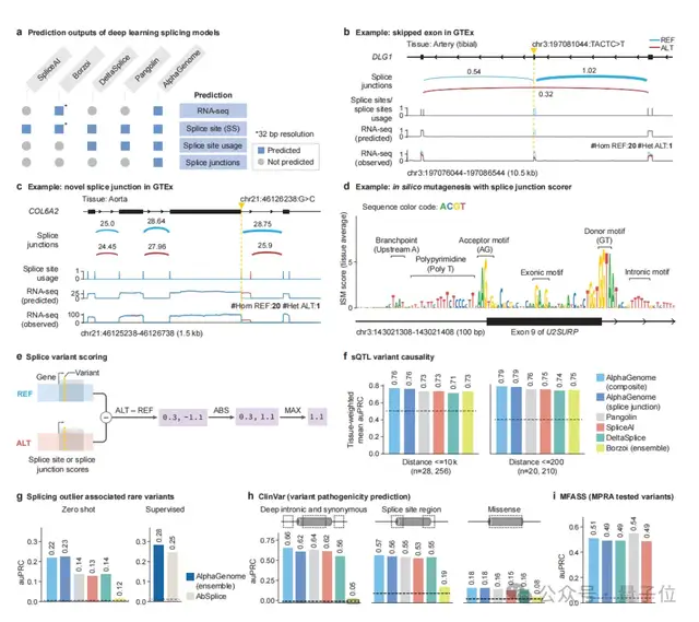 Nature報道：谷歌新模型1秒讀懂DNA變異！首次統一基因組全任務