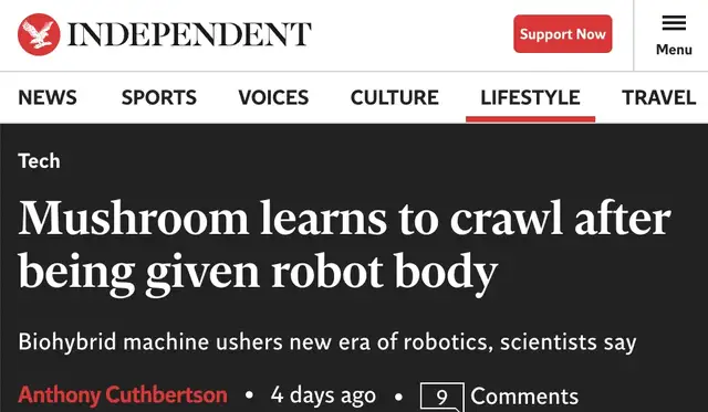 用杏鮑菇控制機器人運動!康奈爾等新研究登Science子刊