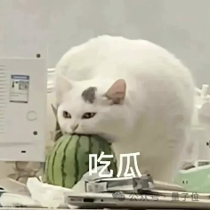 人大系初創與OpenAI三次“撞車”:類Sora架構一年前已發論文