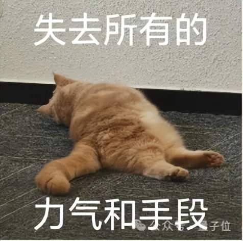 宇樹機器人被曝漏洞，機器人之間可相互感染，官方火速回應